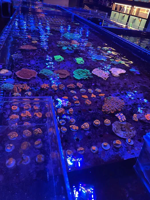 Exotic reef aquatic inc Picture 1
