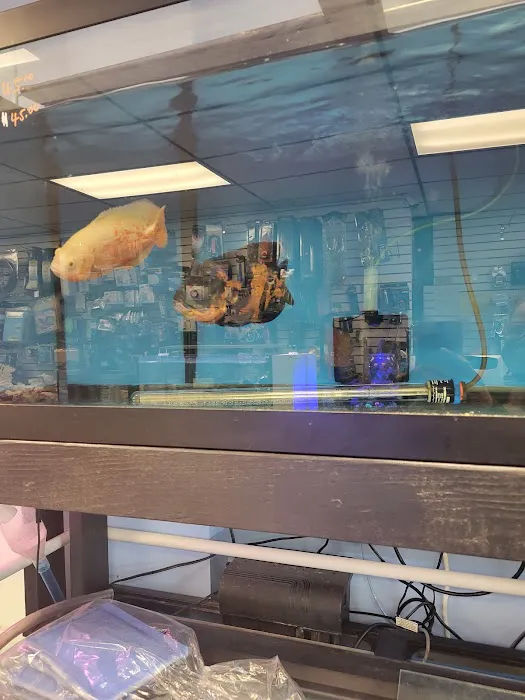 Exotic reef aquatic inc Picture 4