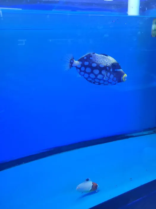 Exotic reef aquatic inc Picture 3