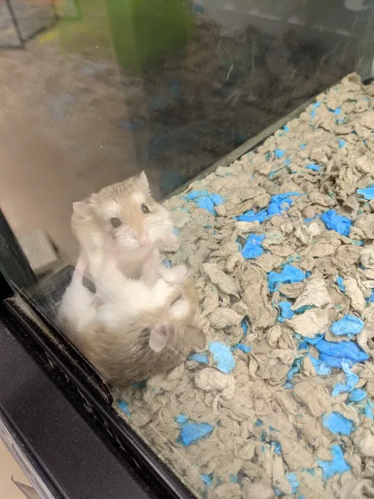 Petco Picture 6
