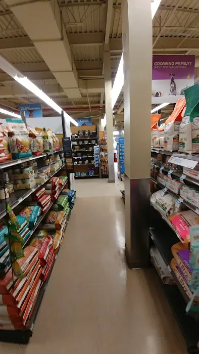 Petco Picture 8