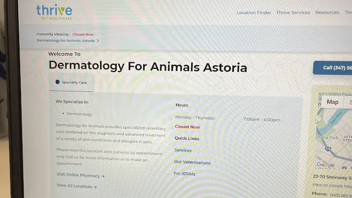 Dermatology for Animals - Long Island Picture 2