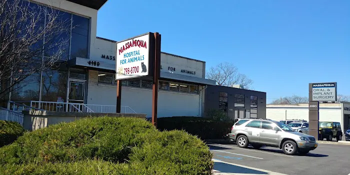 Massapequa Hospital for Animals, A Thrive Pet Healthcare Partner Picture 7
