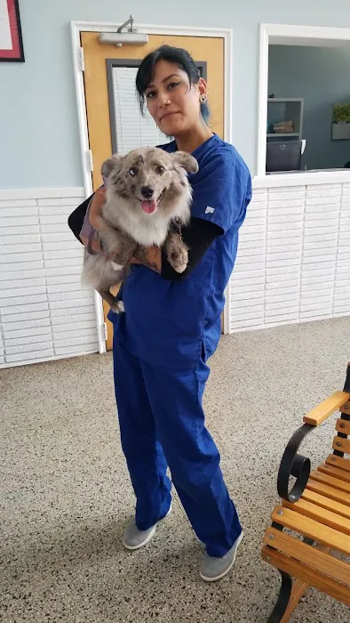Massapequa Hospital for Animals, A Thrive Pet Healthcare Partner Picture 5