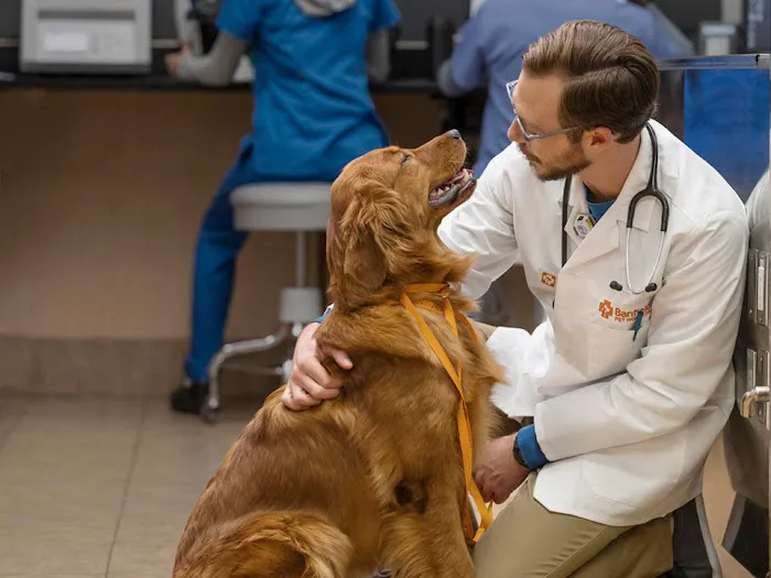 Banfield Pet Hospital Picture 7