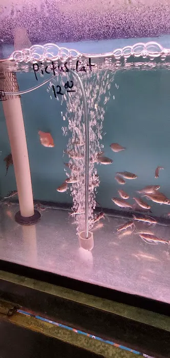 Bayparkway Aquarium Picture 1