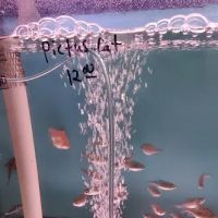 Bayparkway Aquarium ico