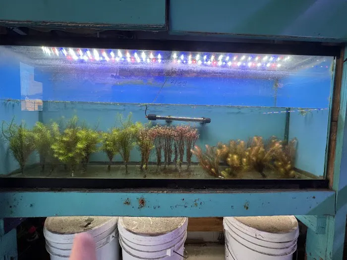 Bayparkway Aquarium Picture 4