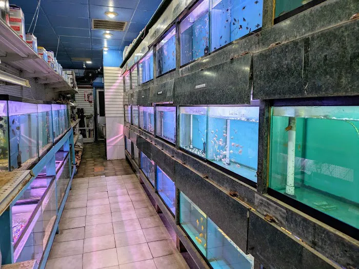 Bayparkway Aquarium Picture 9