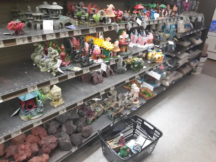 Petco Picture 6