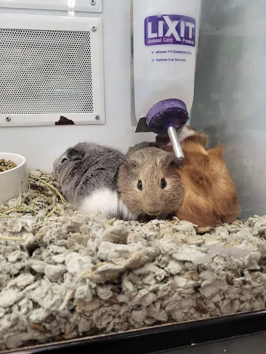 Petco Picture 8