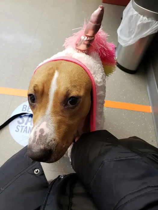 Nassau-Suffolk Animal Hospital Picture 4