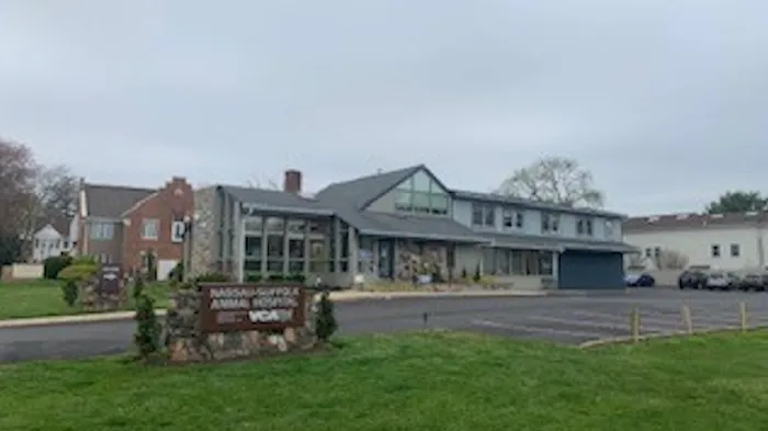 Nassau-Suffolk Animal Hospital Picture 10