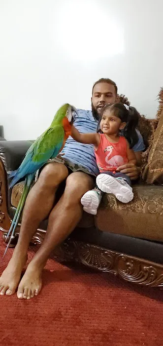 BIRDS FOR YOU Picture 2