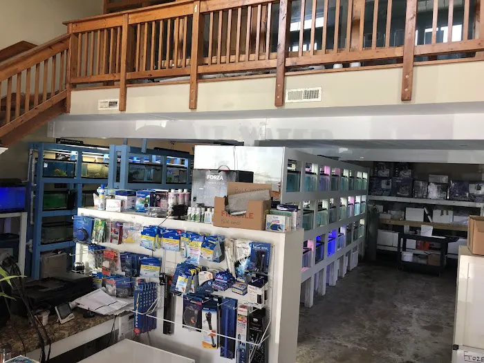 Pete's Aquariums & Fish Picture 5
