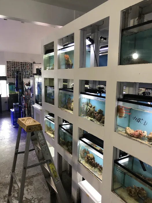 Pete's Aquariums & Fish Picture 4