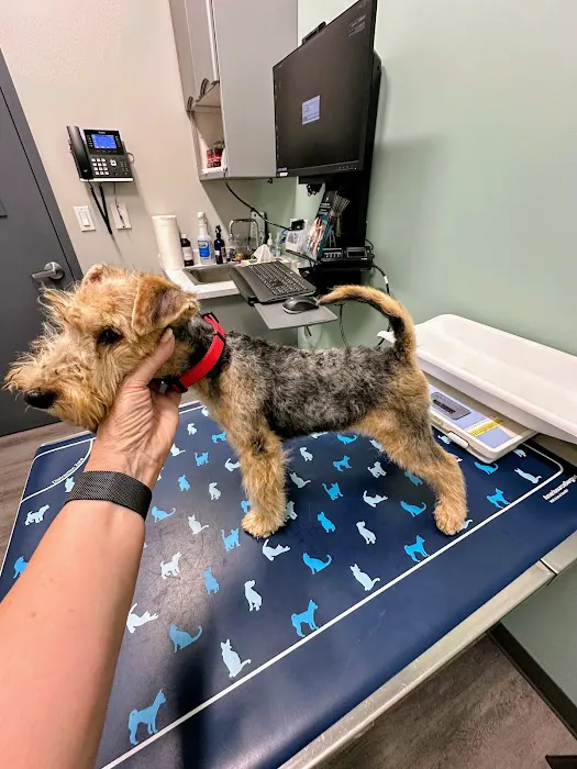 South Shore Animal Hospital Picture 5