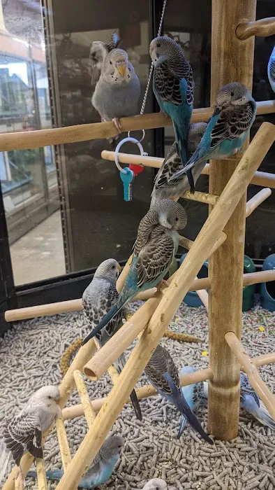 Petco Picture 2