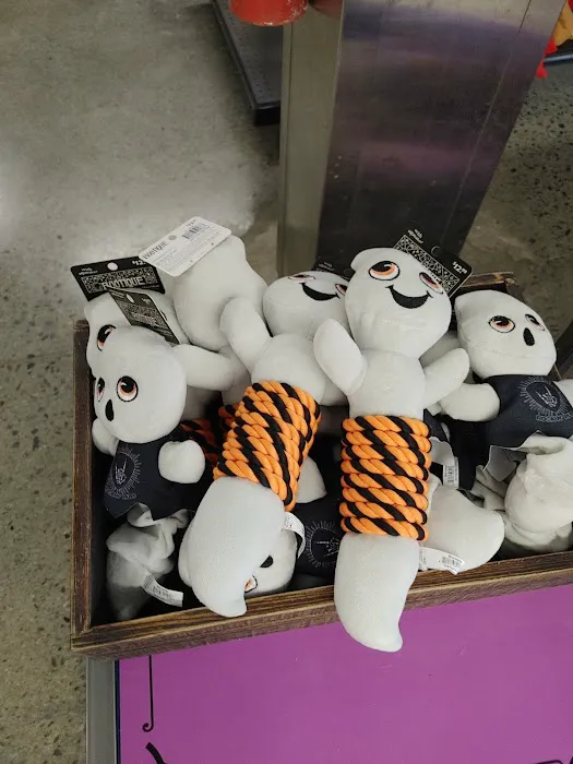 Petco Picture 3