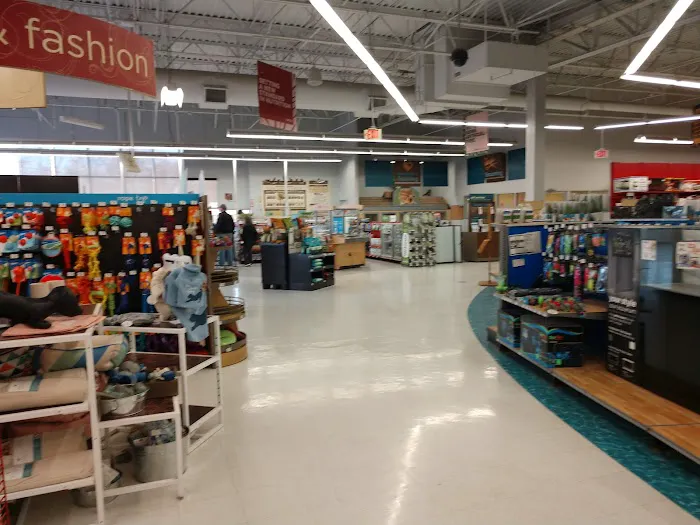 Petco Picture 4