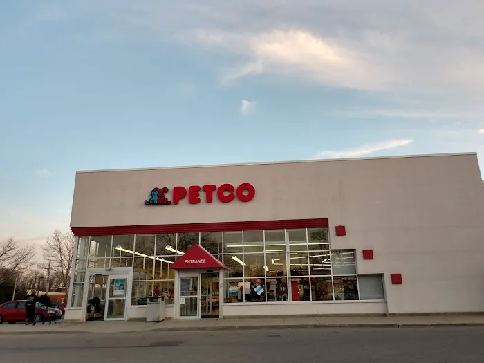Petco Picture 8