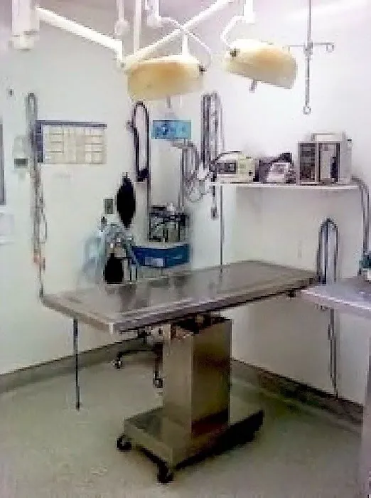 Sunrise Veterinary Group Picture 9