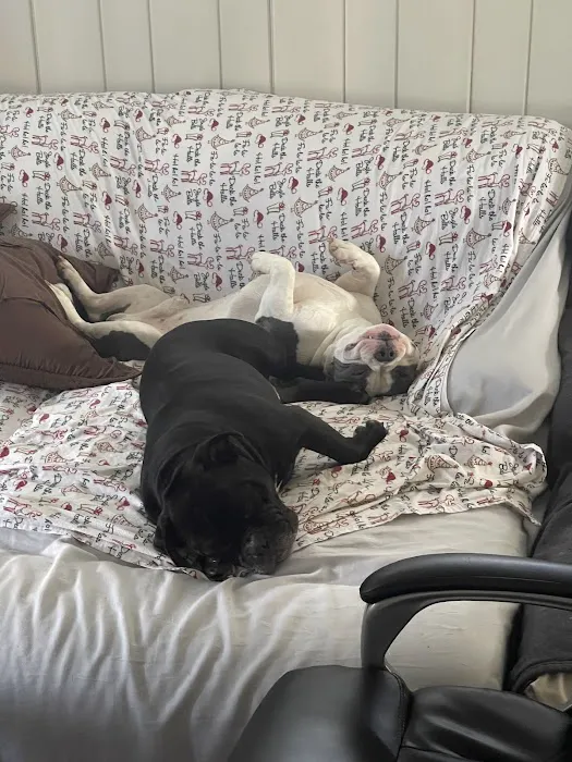 FurEver Friends Hudson Valley Picture 2