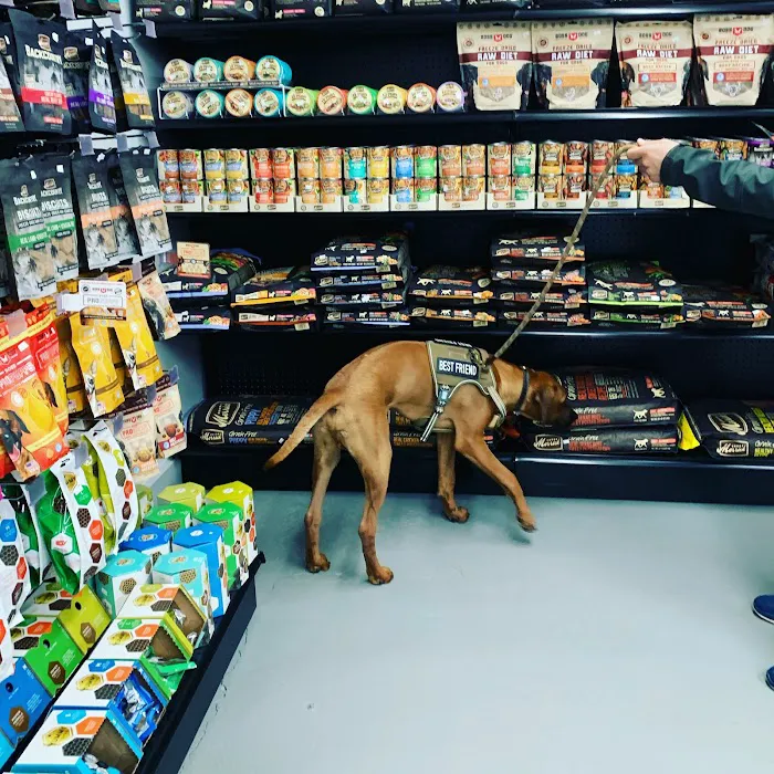 FurEver Friends Hudson Valley Picture 9