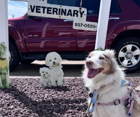 Page Community Veterinary Clinic