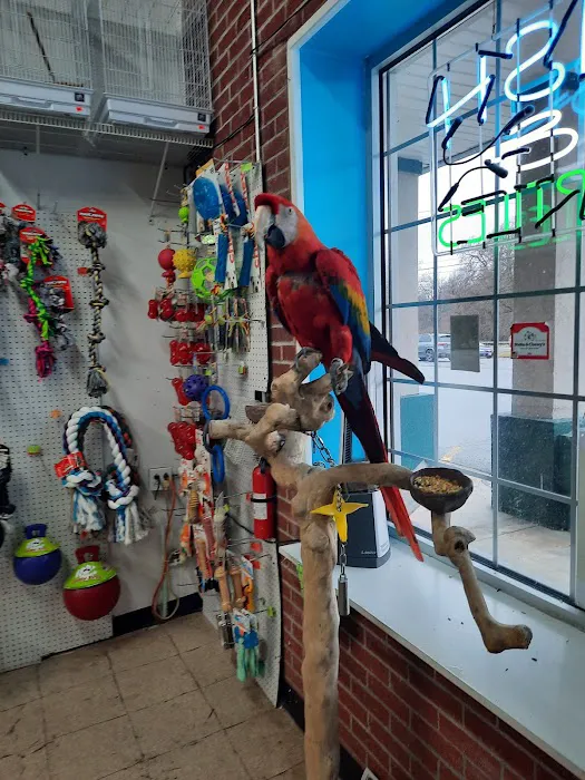 Pet Pro Picture 6