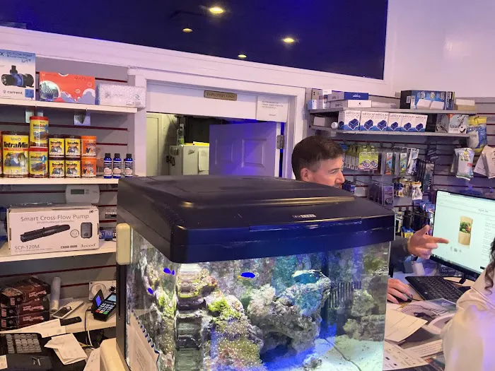 Complete Aquarium Picture 10