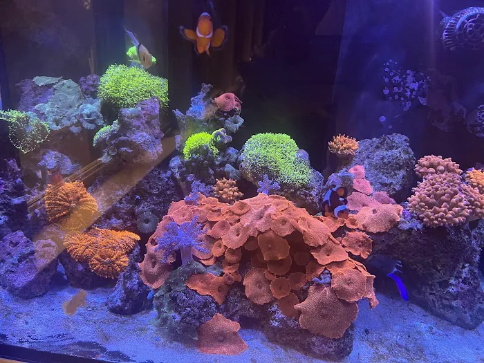 Complete Aquarium Picture 9