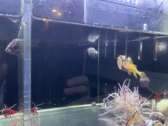 Complete Aquarium Picture 4