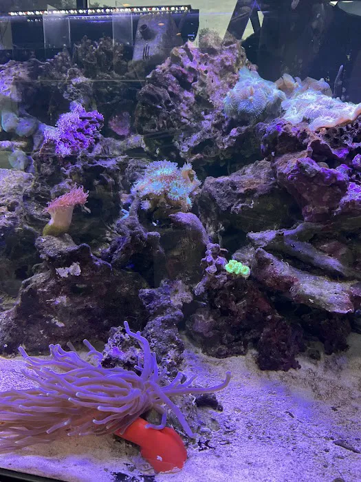 Complete Aquarium Picture 2