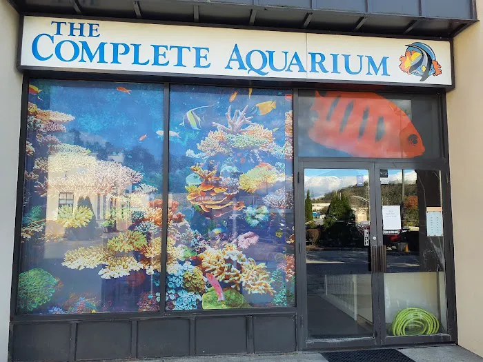 Complete Aquarium Picture 7