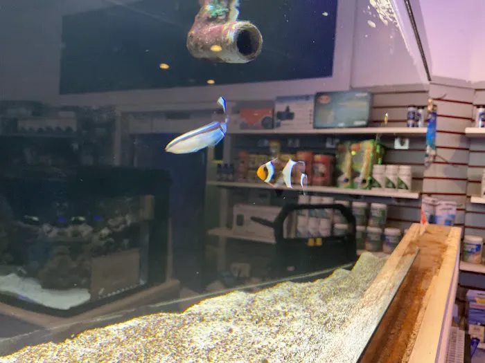 Complete Aquarium Picture 1
