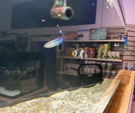 Complete Aquarium