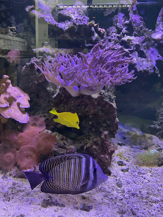 Complete Aquarium Picture 8
