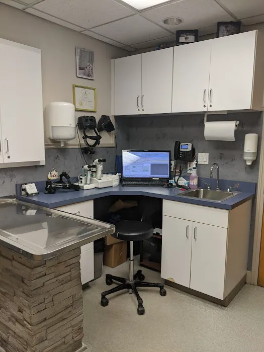 Long Island Veterinary Specialists Picture 8