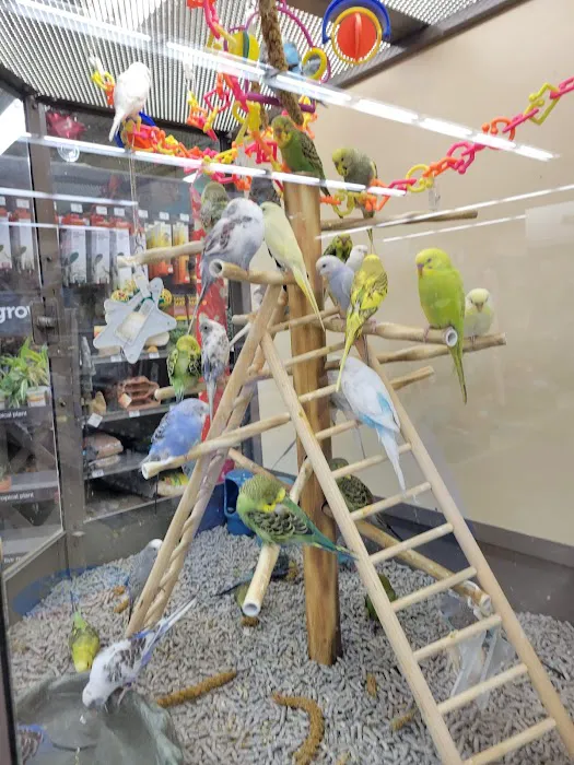Petco Picture 8