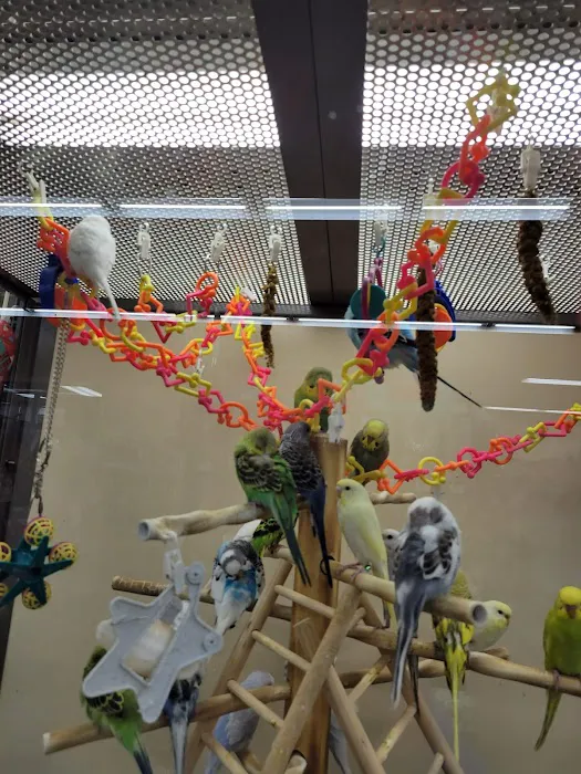 Petco Picture 7