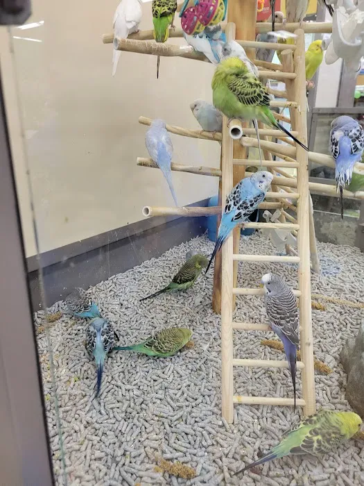 Petco Picture 4