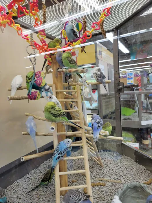 Petco Picture 5