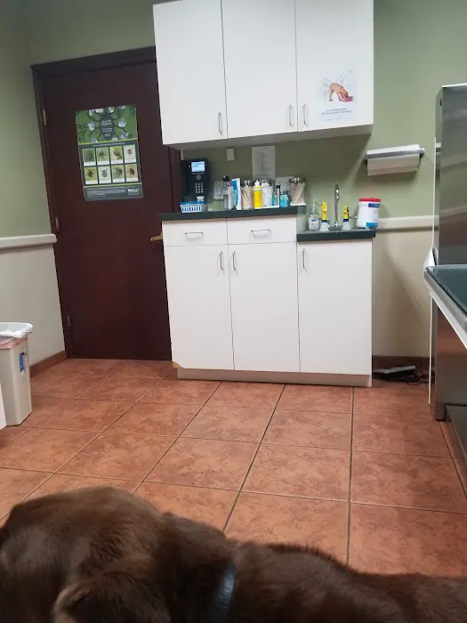 Manetto Hill Animal Hospital Picture 7