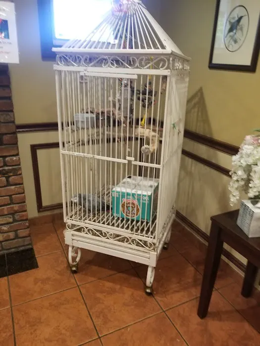 Manetto Hill Animal Hospital Picture 4