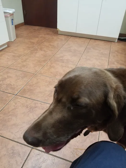 Manetto Hill Animal Hospital Picture 3