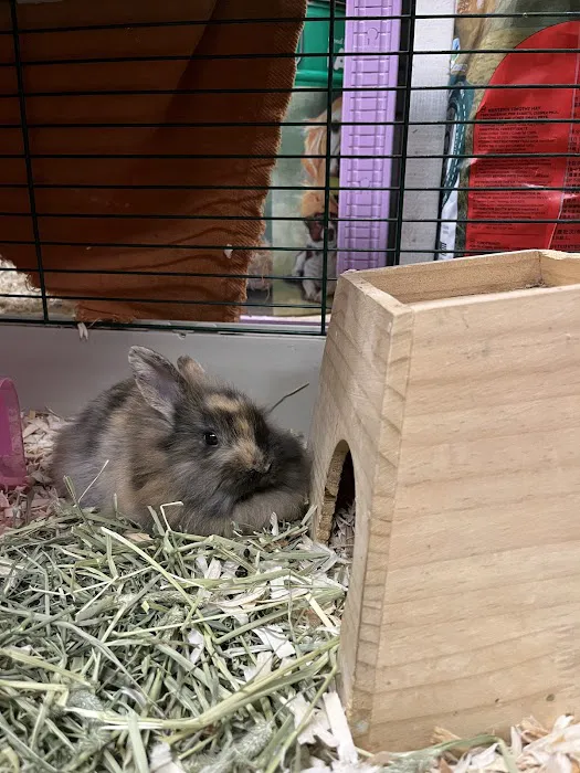 Aardvark Pet Supplies Inc. Picture 2