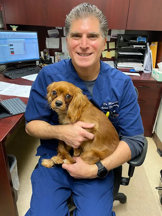 Old Country Animal Clinic Picture 5