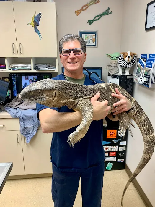 Old Country Animal Clinic Picture 2