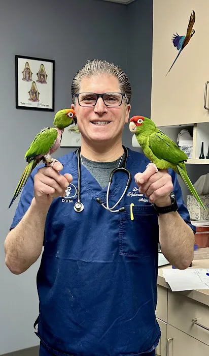 Old Country Animal Clinic Picture 4